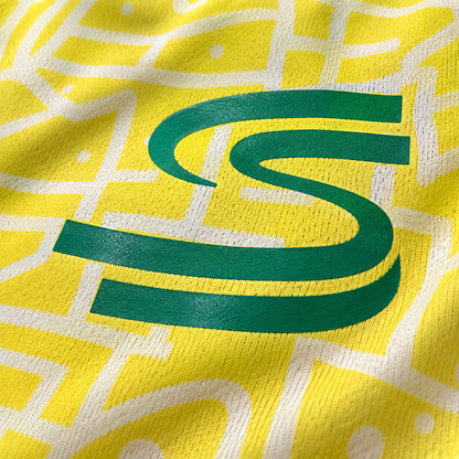 Ayrton Senna x Brazil